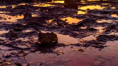 Navigating the Florida Keys by RV: Your Essential Guide